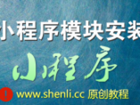 未安装的小程序应用里没有找到模块什么原因?