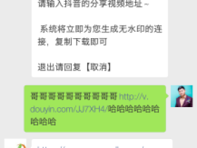 抖音视频无水印解析下载、手把手教你去水印