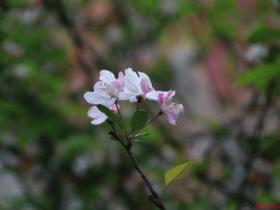 春季野外踏青活动方案