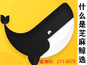 什么是芝麻鲸选?