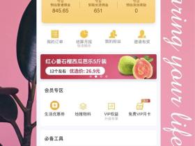 田田粉象生活合伙人