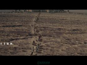 Pr视频如何快速的添加字幕(语音转字幕)