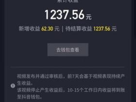 抖音小游戏推广赚钱教程,比抖音带货还赚钱。