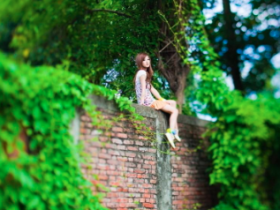 首码网增加了一个栏目,首码速递!