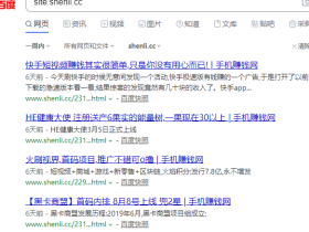 百度还是没收录,淡淡的忧伤!