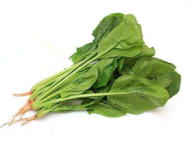 网站内容被采集了!发愁中!