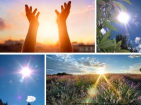 网站不收录了怎么办?阳光手赚网都不想更新了。