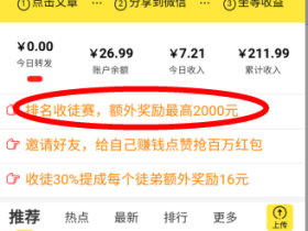 快分网,一天收入只有10块钱不到,但是可以大量推广!