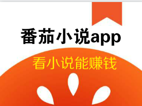 番茄小说,免费看小说赚钱的靠谱app。