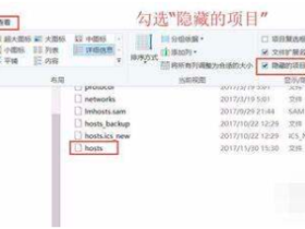 网站使用了CDN,如何让本地打开的时候使用源IP?