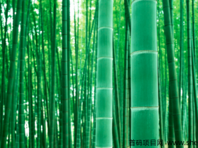 网站就是人生,坚持总会有阳光。