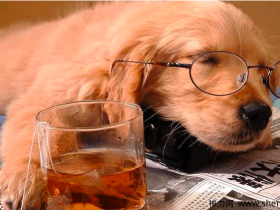 7月3日,周六,中雨,一个适合躺平的日子。