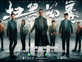 《扫黑风暴》挺好看,买了一个vip会员。