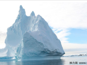 自媒体正在毁掉一代年轻人!