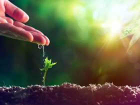 付出和回报,如何去均衡。