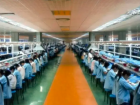 智商被自己给侮辱了。