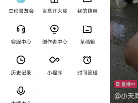 盲盒开大奖,这次貌似被快手坑了。