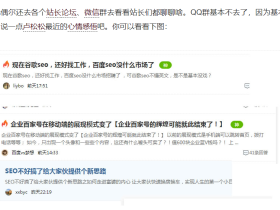 卢松松说,2022年是SEO行业凋谢的一年