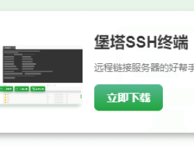 服务器ssh工具,可以选择宝塔官方的。