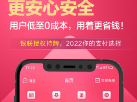 闪电宝plus,安全靠谱的信用卡刷卡软件。