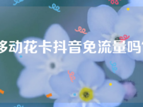 移动花卡抖音免流量吗?