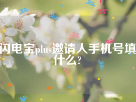 闪电宝plus邀请人手机号填什么?(最佳回答)