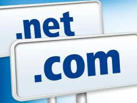 给域名续了一个费!