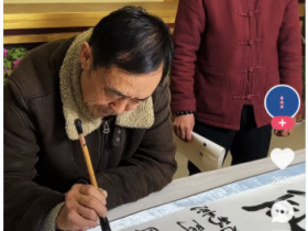 文物双全马保国