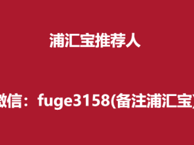 浦汇宝推荐人手机号码填什么?
