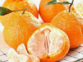 今日收入五软妹币!