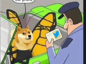 老马又皮了一下