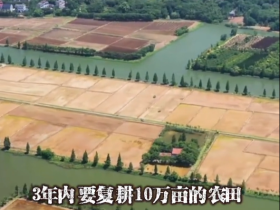 成都复耕,做个榜样!