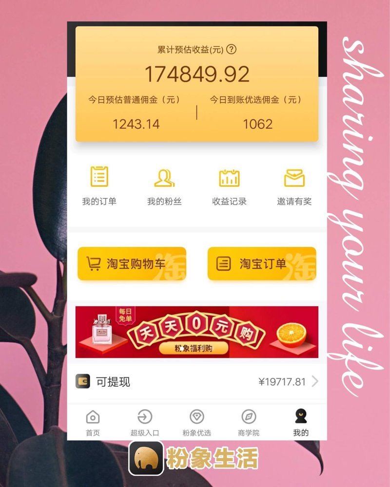 波哥粉象生活合伙人